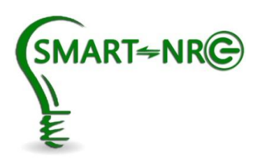 Smart NRG logo